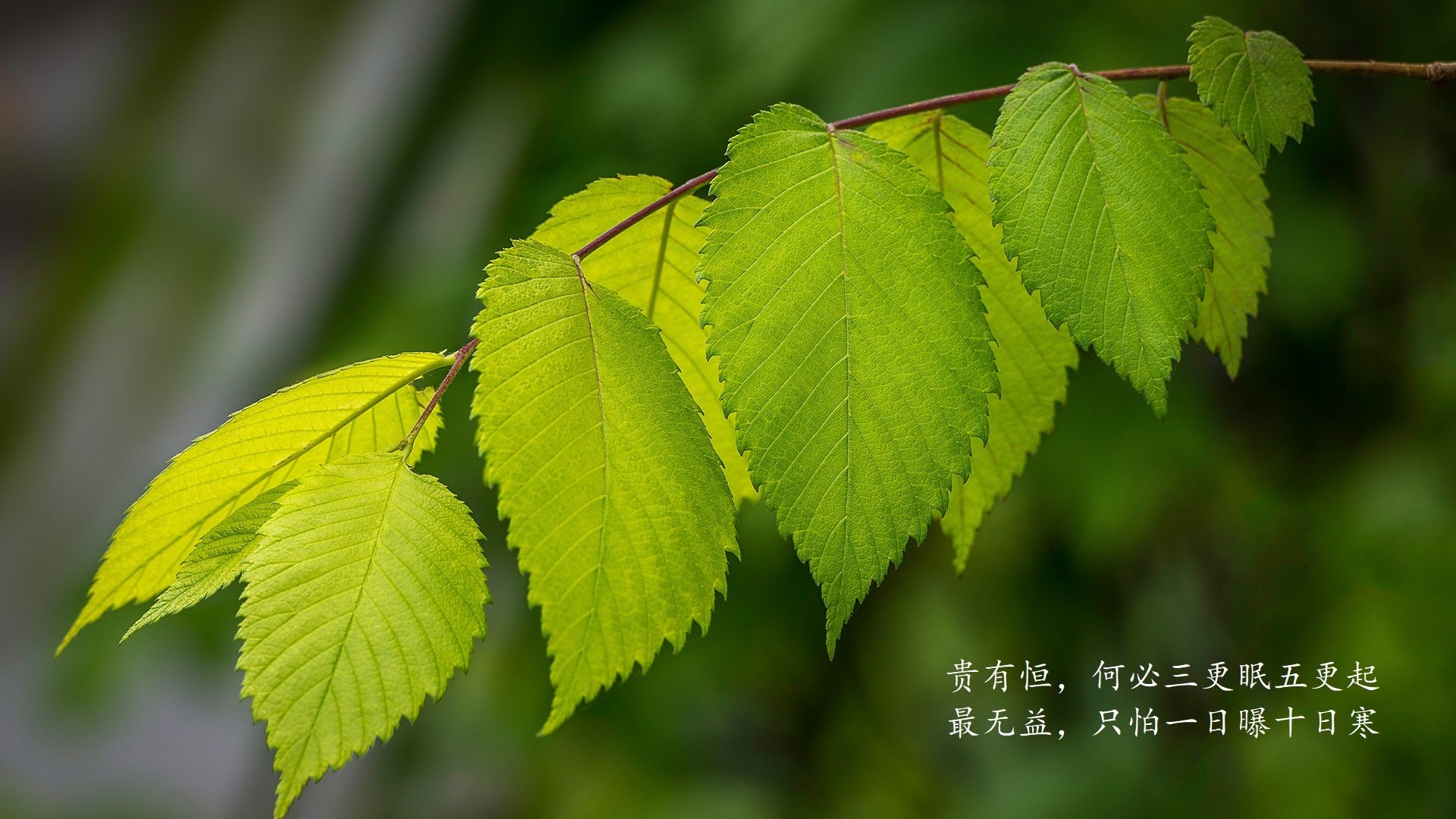 世俱杯网站-梅西在巴萨重返训练，备战下一场比赛，梅西进入巴萨一队
