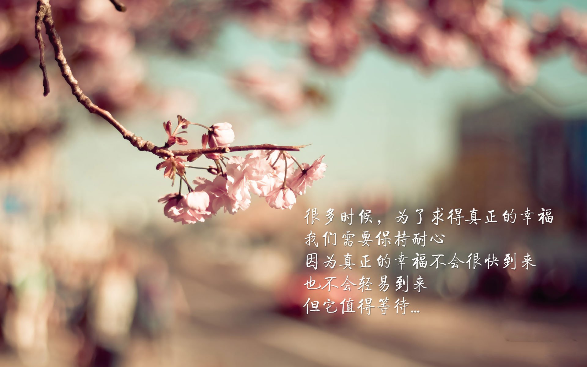 足球世界俱乐部杯直播-电竞主播解说阵容公布，电竞解说女主播